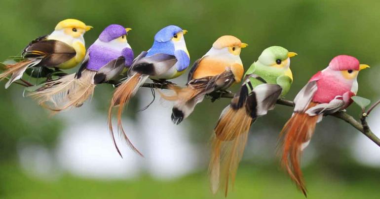 Fåglar i olika färger på Digideal.se