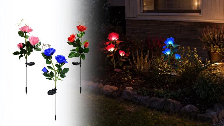 Självvlysande rosor på Digideal.se