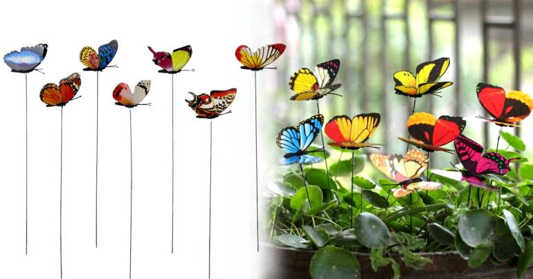 Dekorativa fjarilar