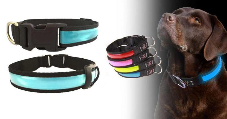 LED-Hundhalsband på Digdeal.se