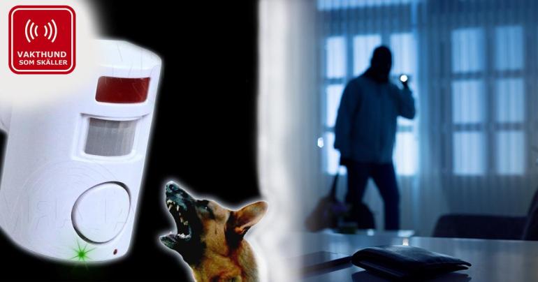 Utomhus och inomhus rörelsealarm på Digdeal.se