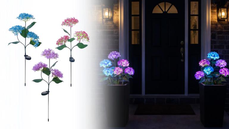 Självvlysande hortensia på Digideal.se