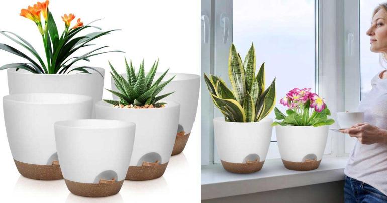 5-pack självvattnande blomkrukor på Digdeal.se