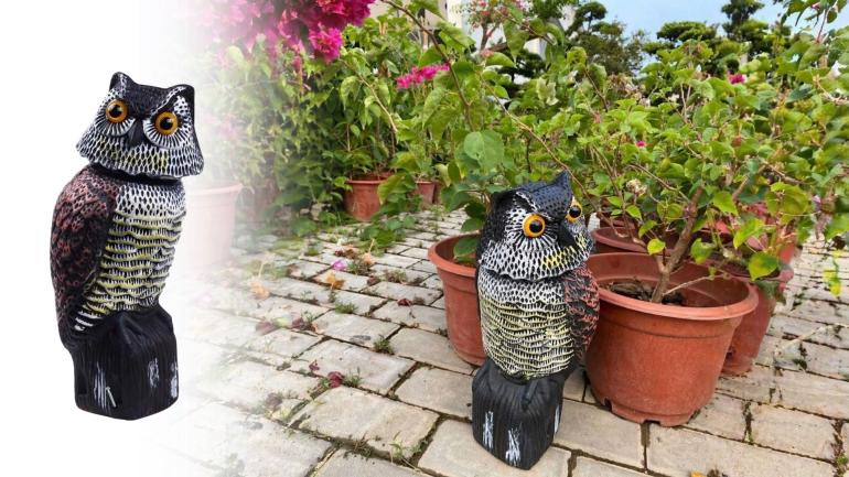 Uggleskrämma - Håll fåglar och små skadedjur borta, med en naturtrogen uggla